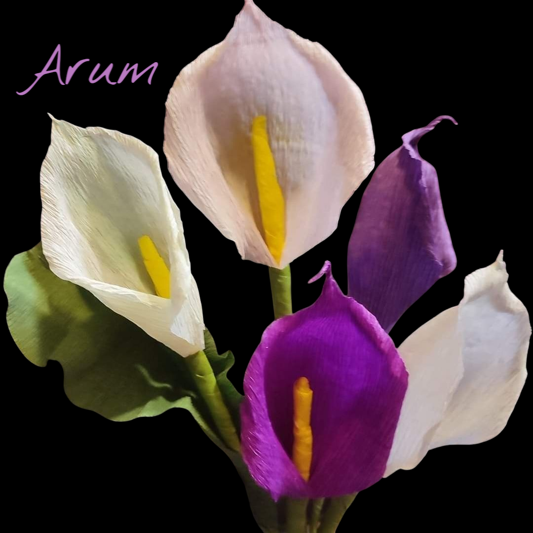 IMG_20240224_161248_092 (1)