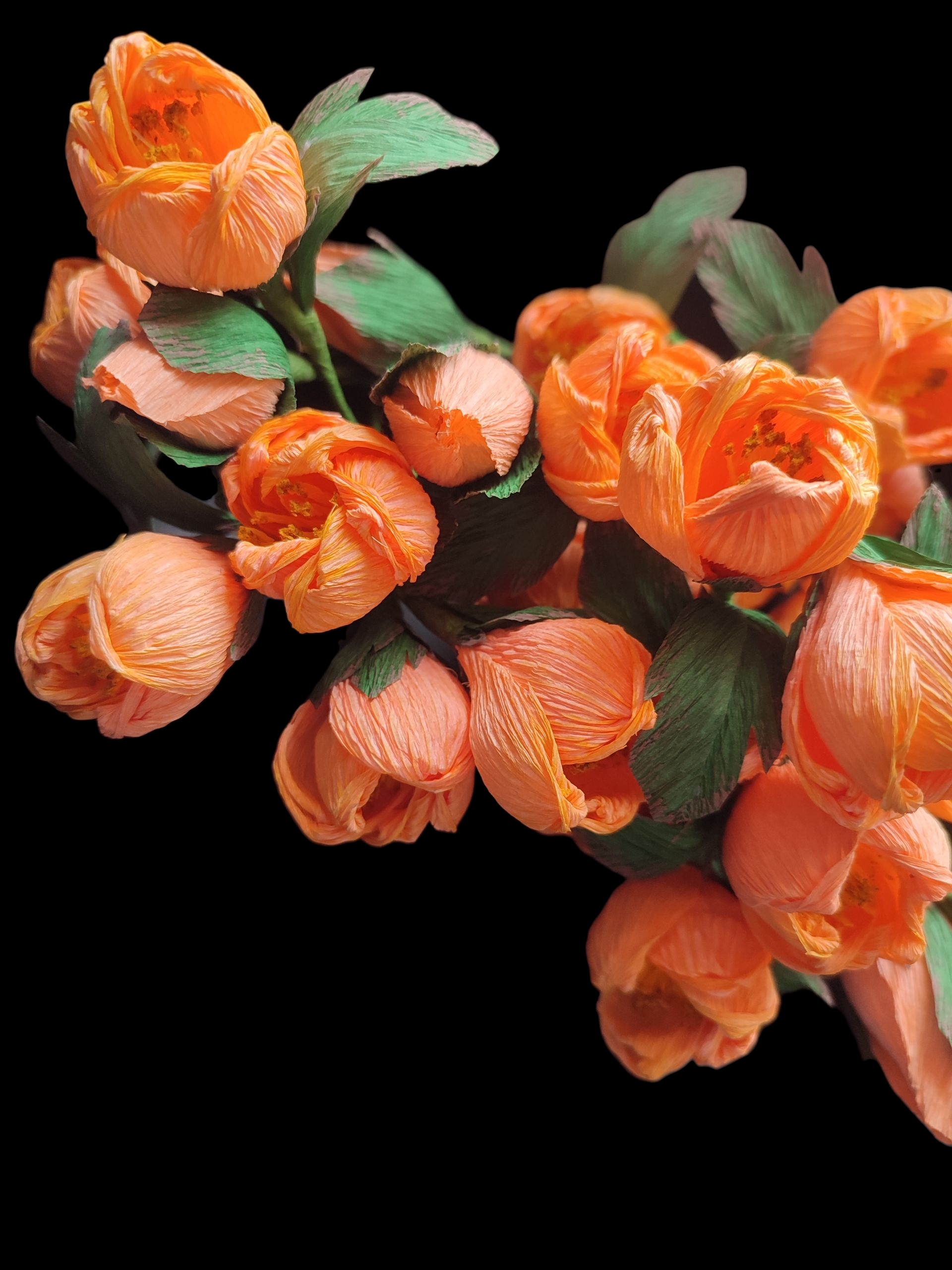 IMG_20240227_162806 (2)