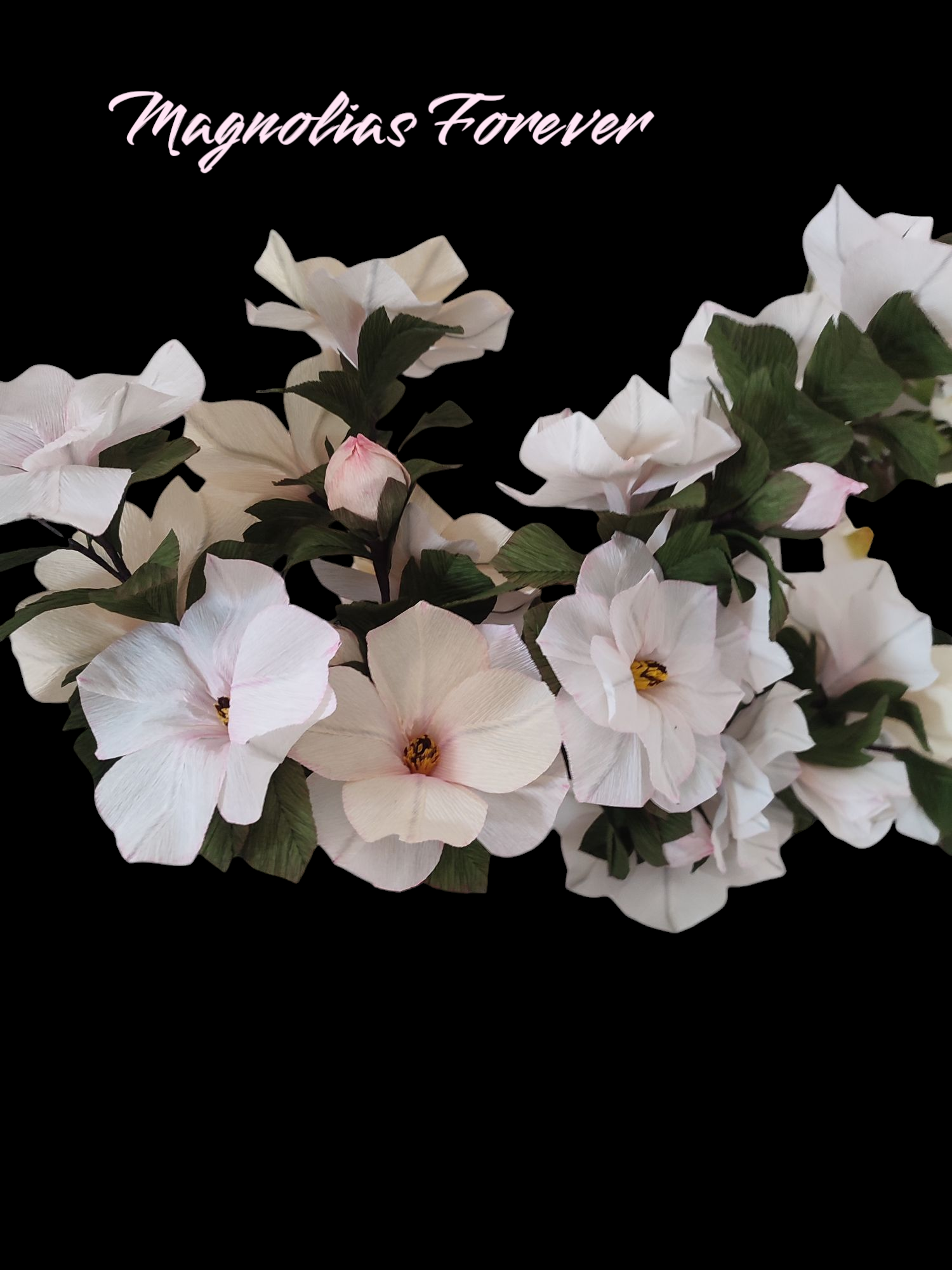 IMG_20250222_110604 (1)