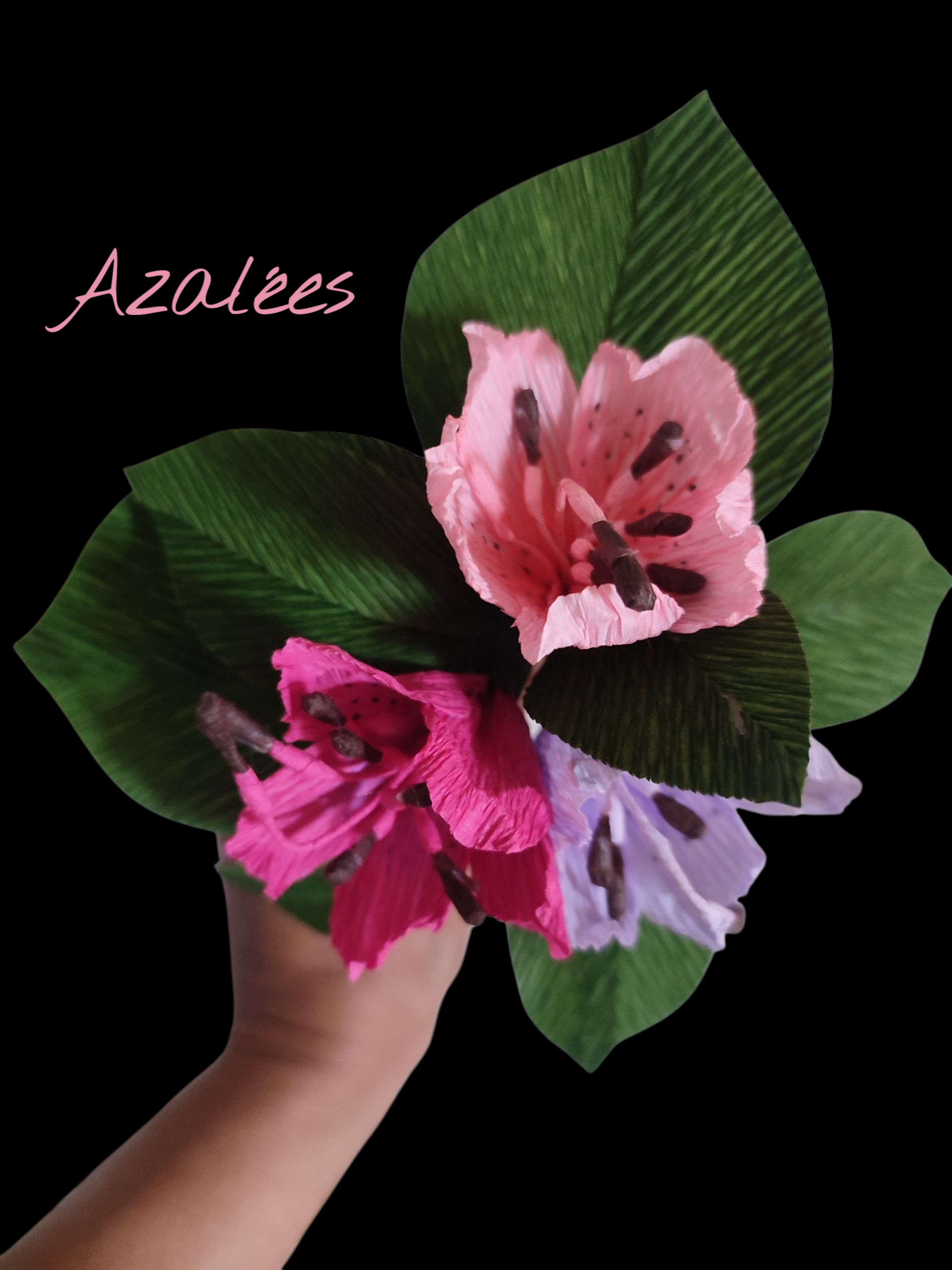 IMG_20250613_122347 (1)