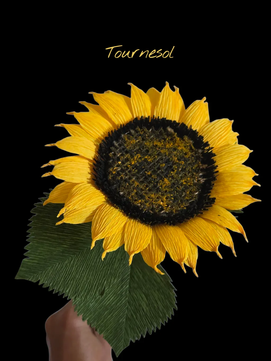 20250822_151416-large