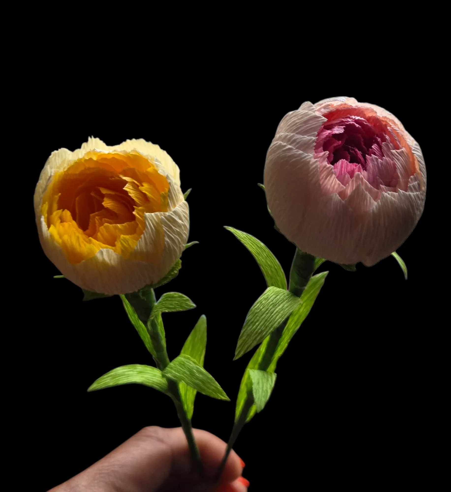 20250908_072850-full