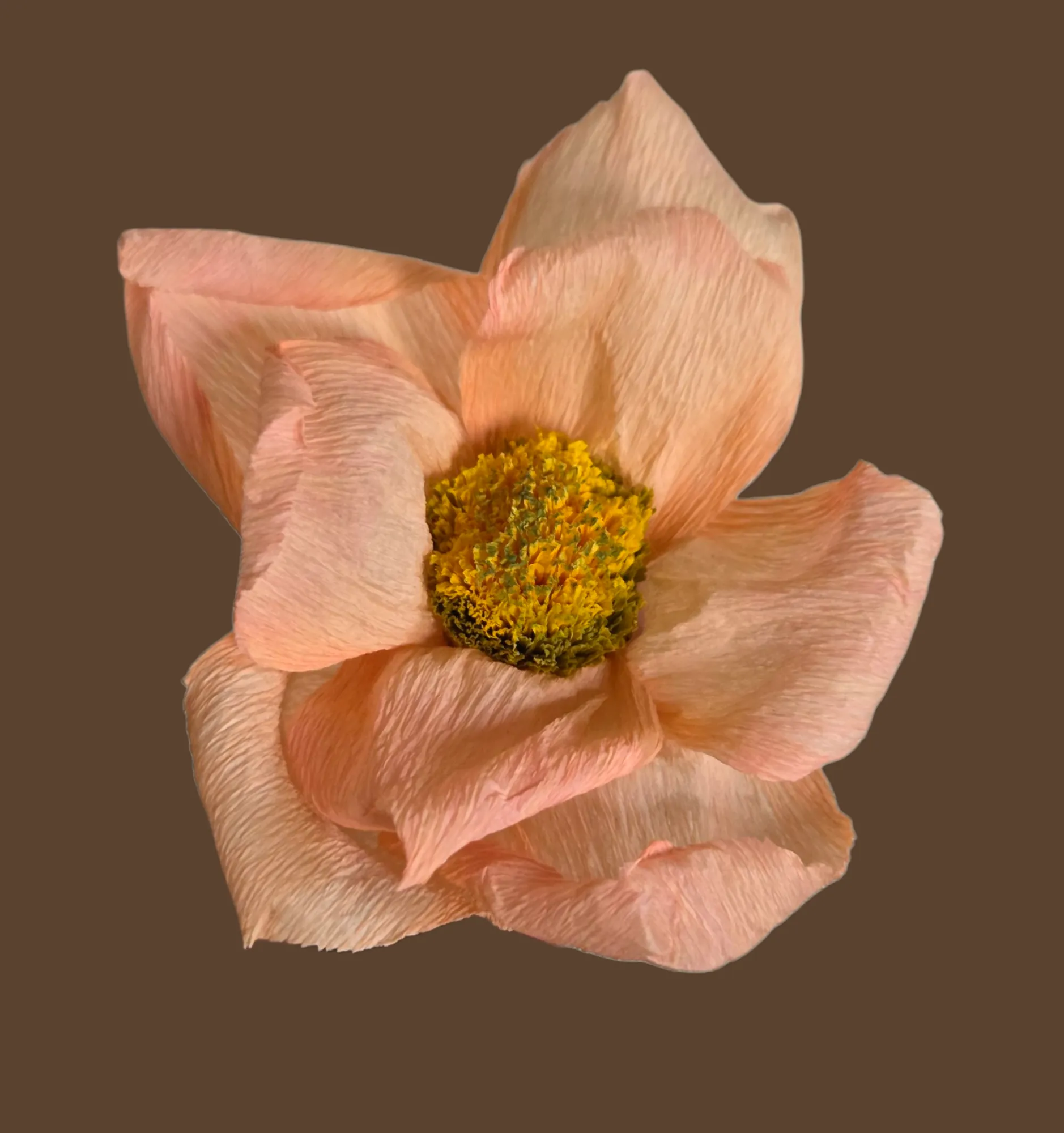 20250916_165948-full