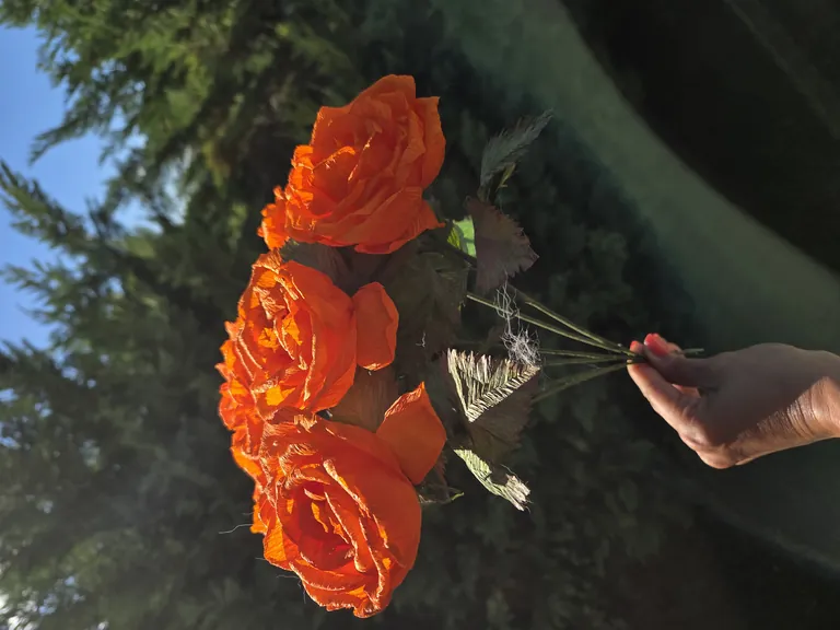 20250922_163411-medium_large