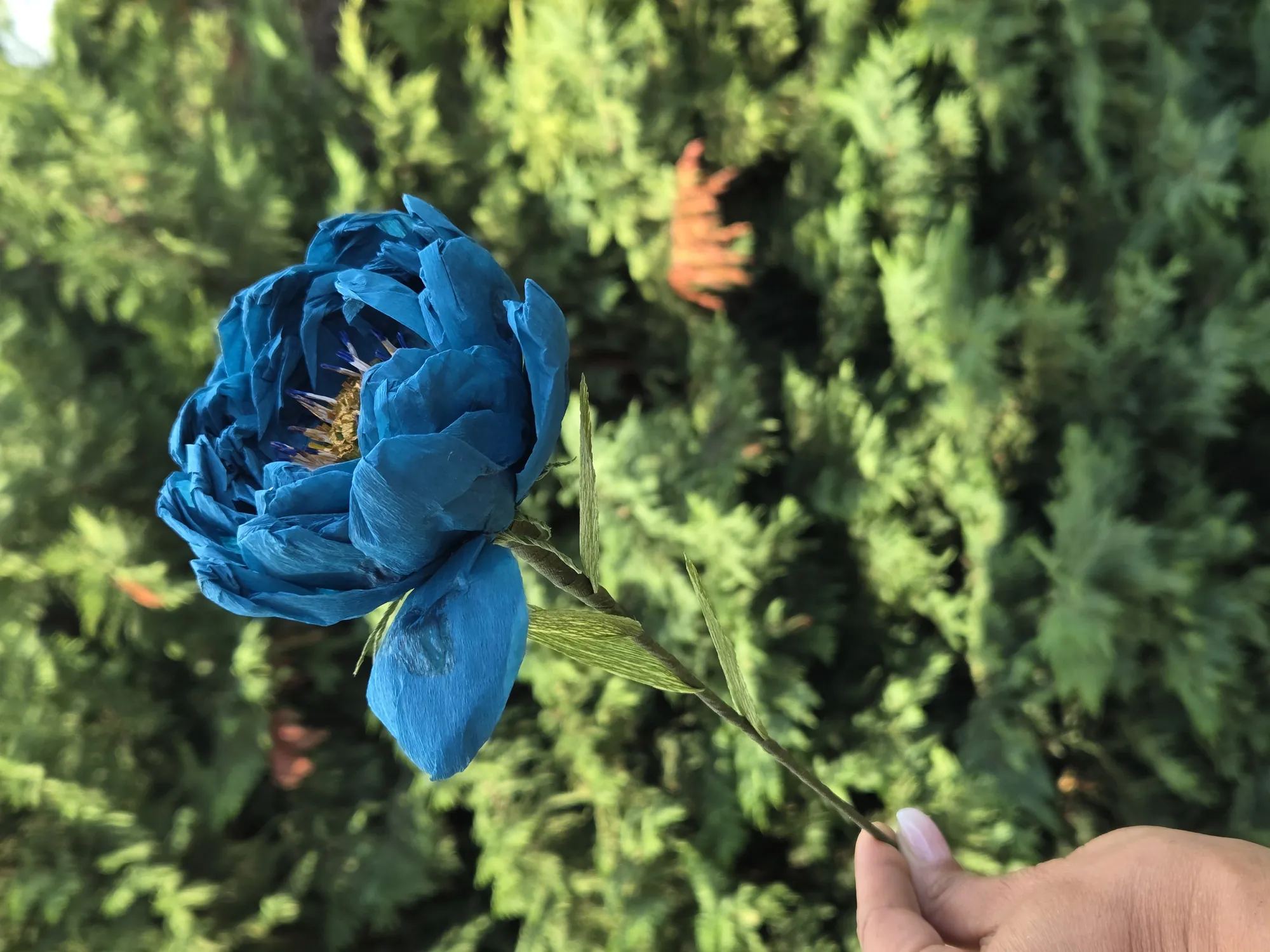 20251008_112006-full