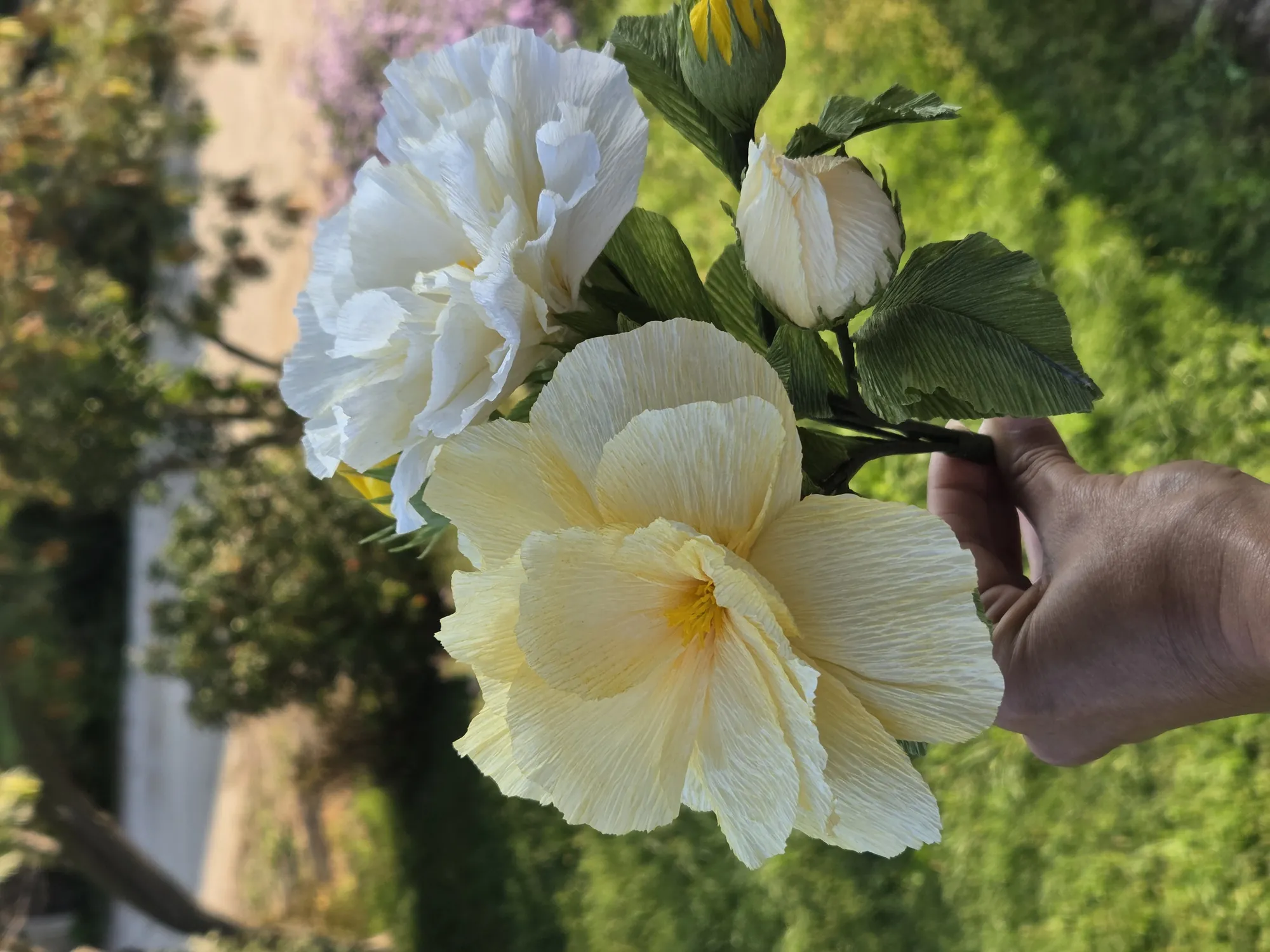 20251016_095338-full