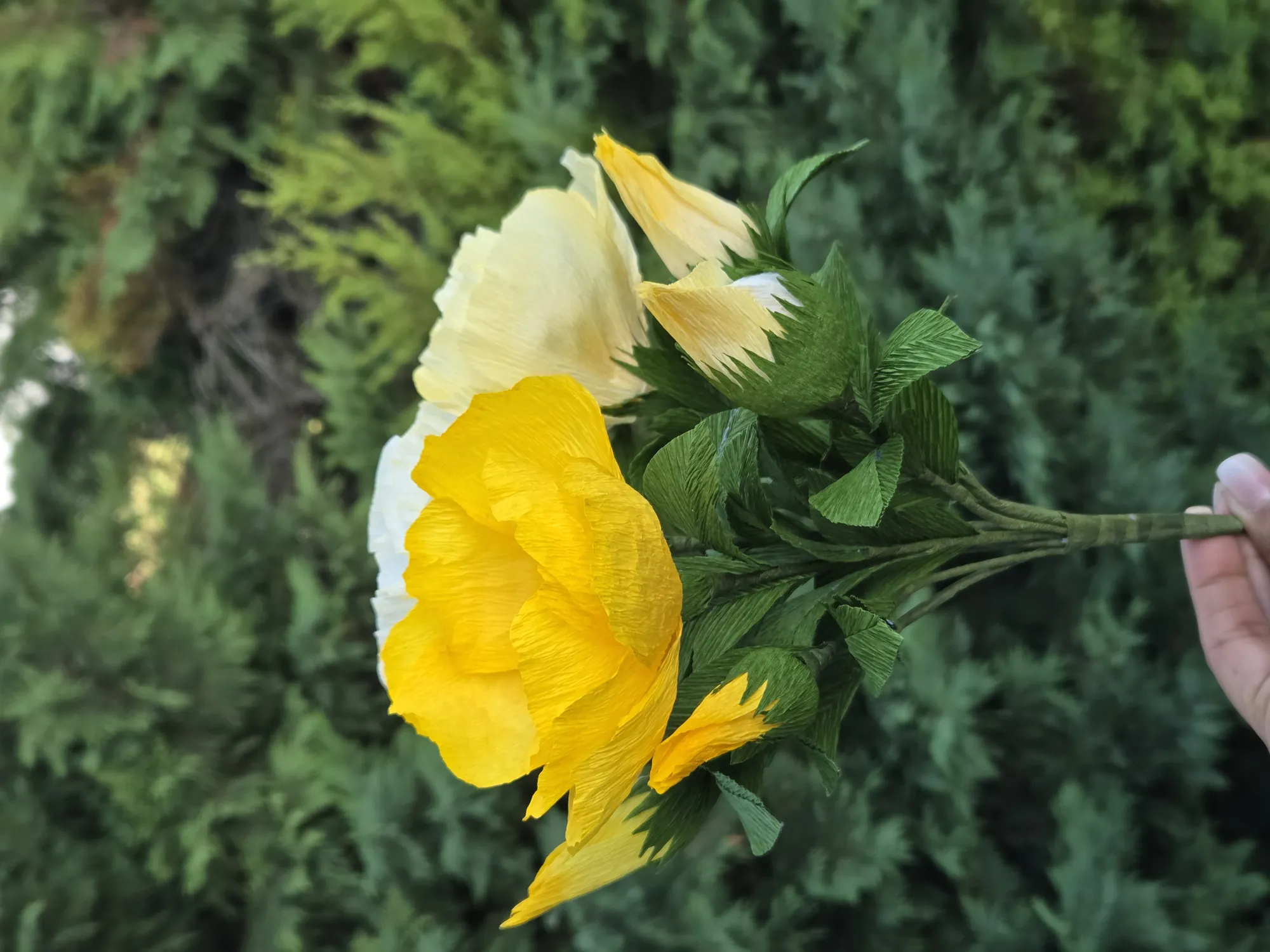 20251017_091312-full