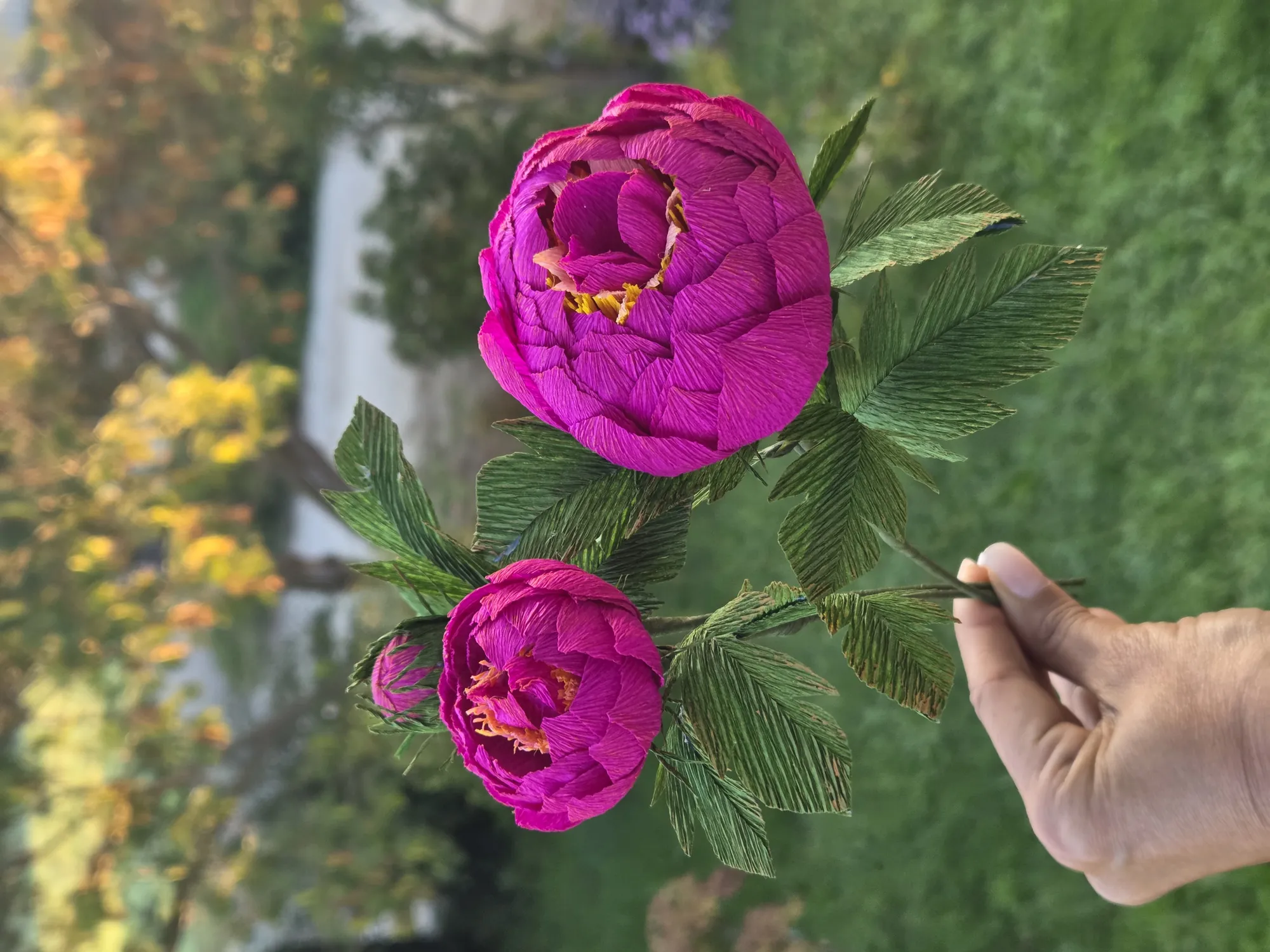 20251018_083329-full