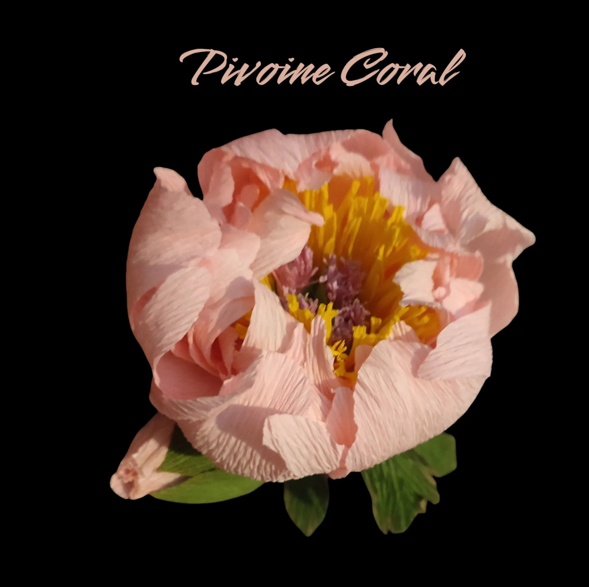 IMG_20240306_223732-full