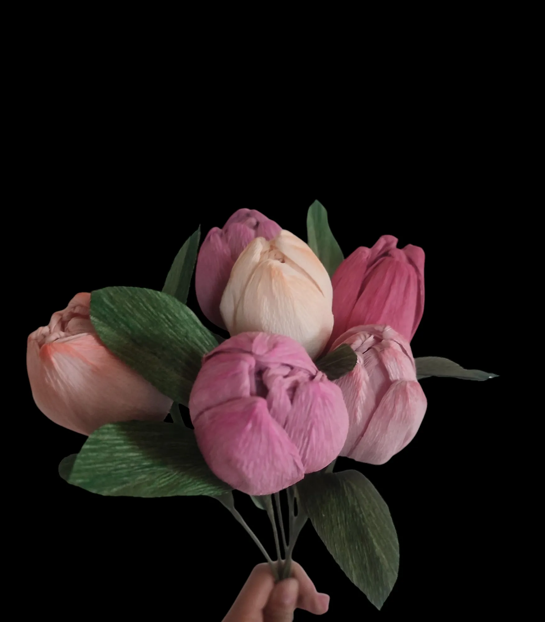 IMG_20250313_154648-full