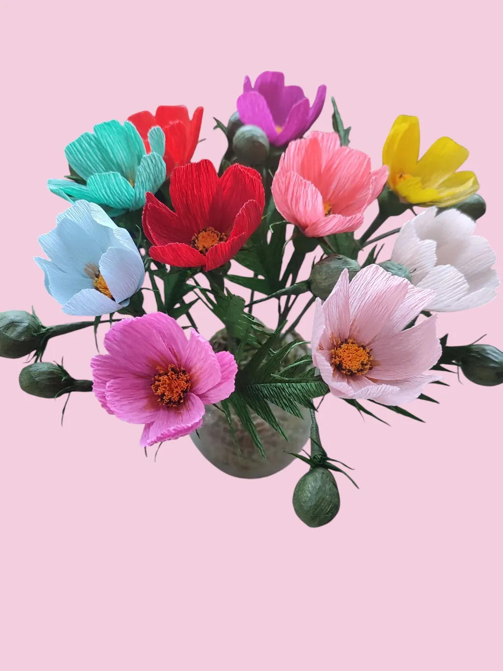 IMG_20250511_184421 (1)-large