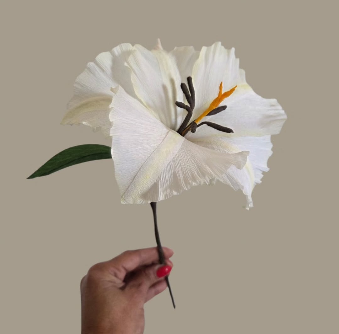 Screenshot_20260305_182303_Instagram