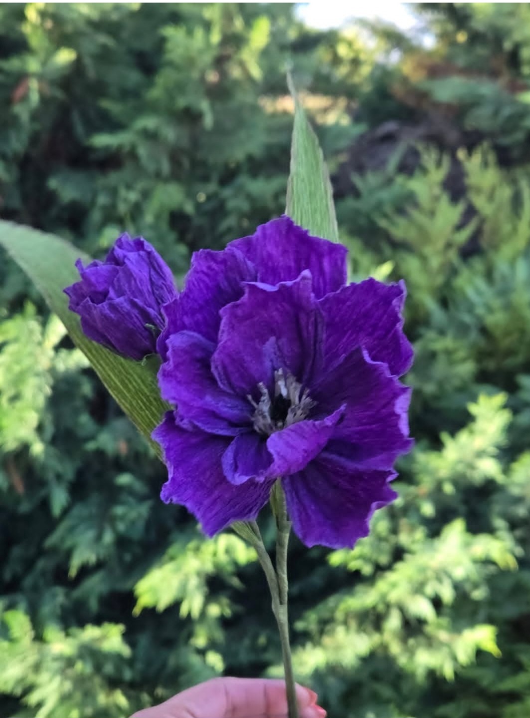 Screenshot_20260305_182437_Instagram