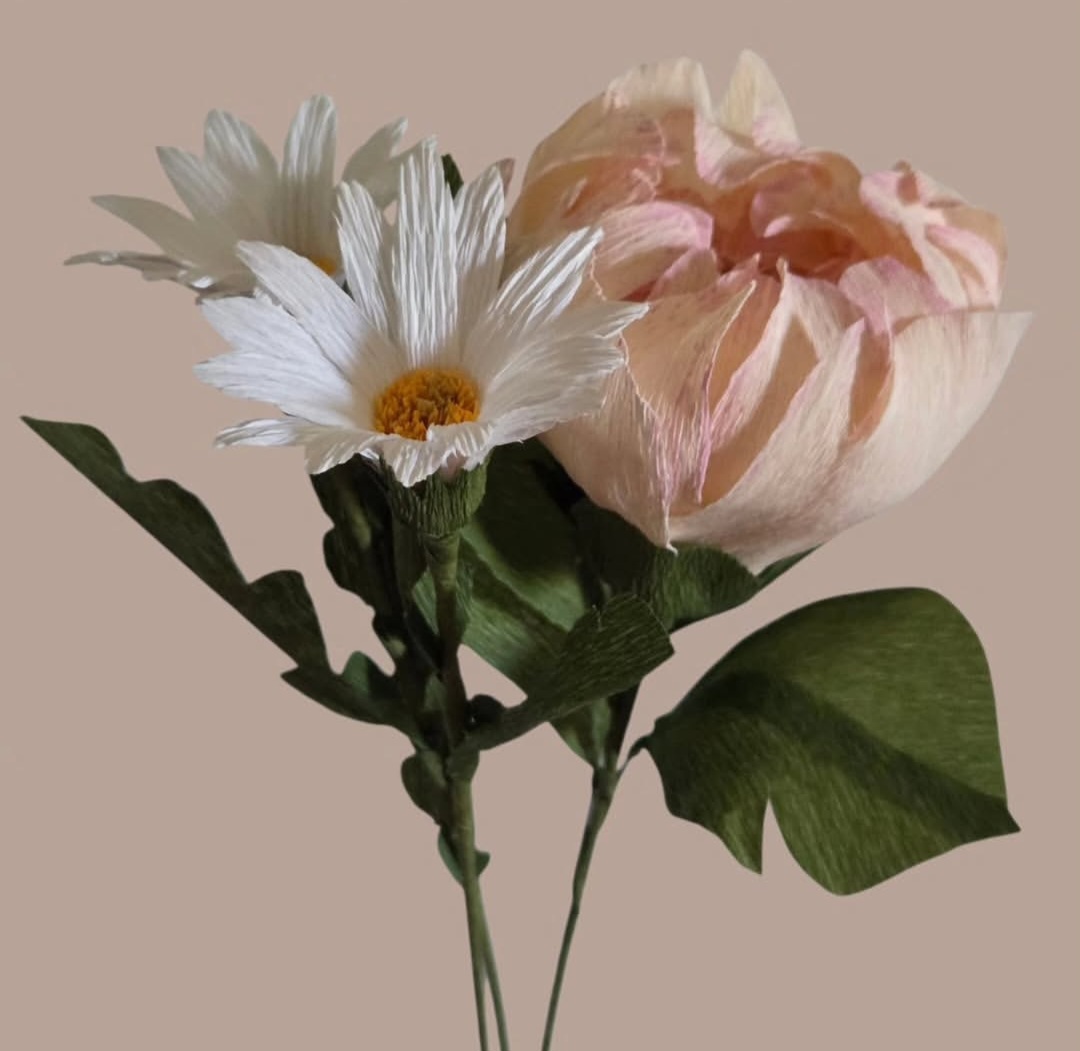 Screenshot_20260305_194358_Instagram