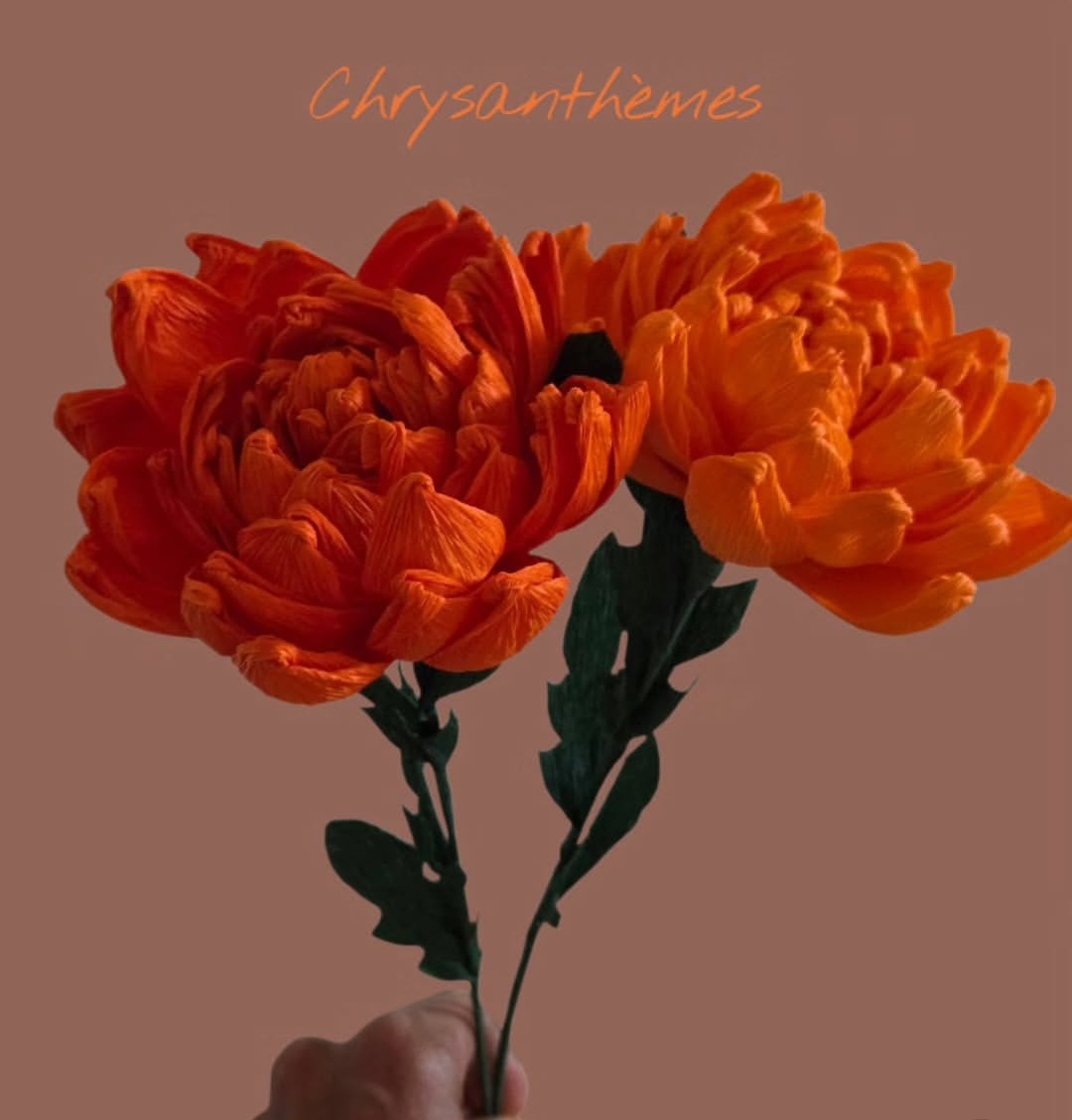 Screenshot_20260305_194424_Instagram